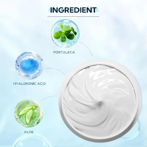 Made with Aloe, Portulaca and Hyaluronic Acid