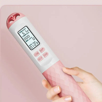 LCD counter