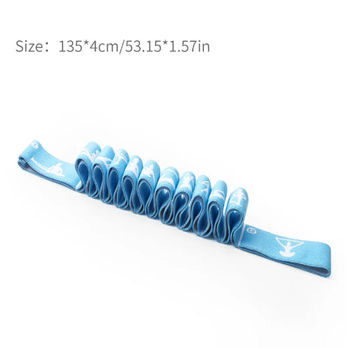 FlexiGrid Pro BLUE 10