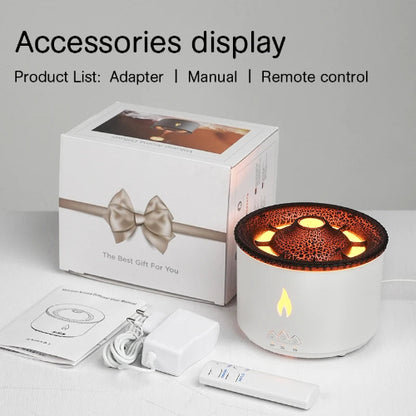 Comes with Adapter, Manual and Remote